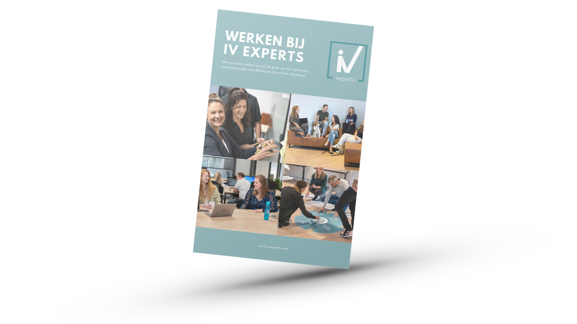 Werken bij IV experts