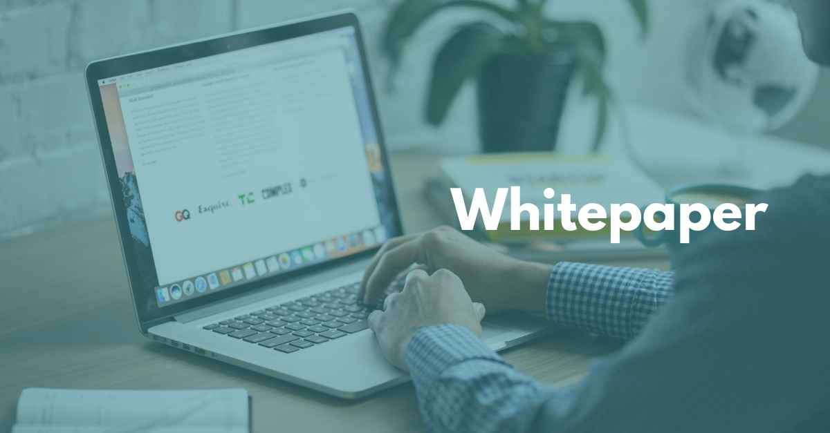 whitepaper functioneel beheer en informatiemanagement
