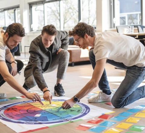 Communicatie en samenwerking DISC