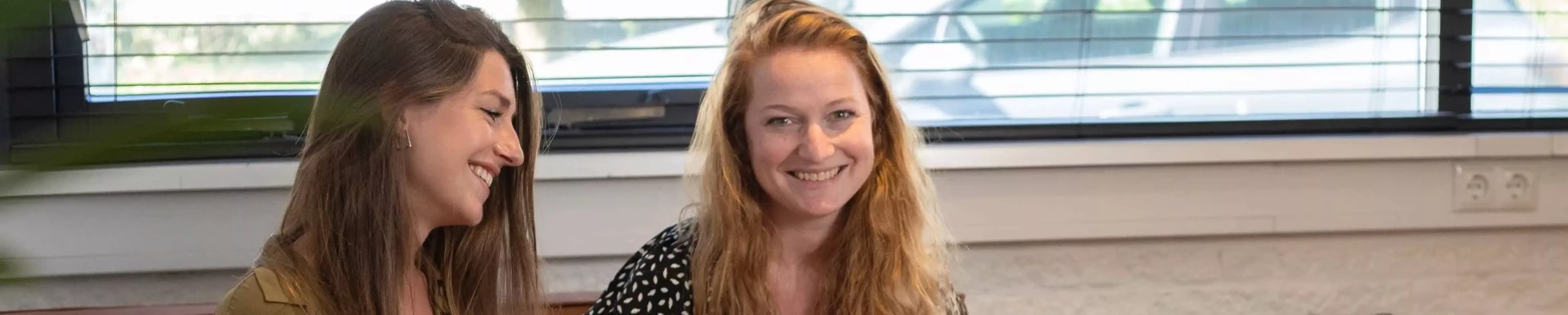 Samenwerken bank lisa debby