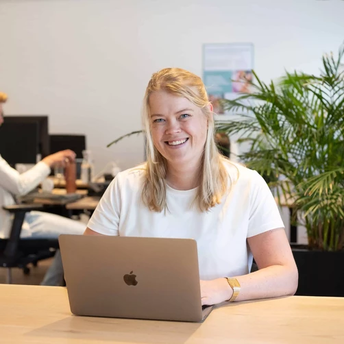 Consultant_aan het werk