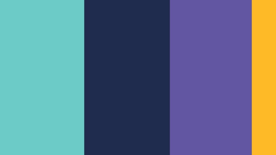 IV experts kleuren